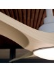VENTILADOR CARLA L CON LUZ DE SULION